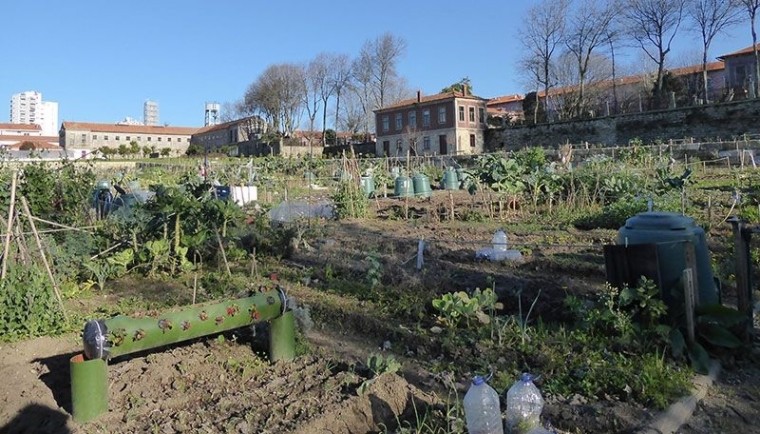 Jardin potager collectif dans l'hôpital Conde Ferreira à Porto.