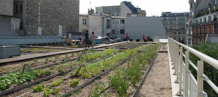 Le toit du gymnase fraîchement planté.