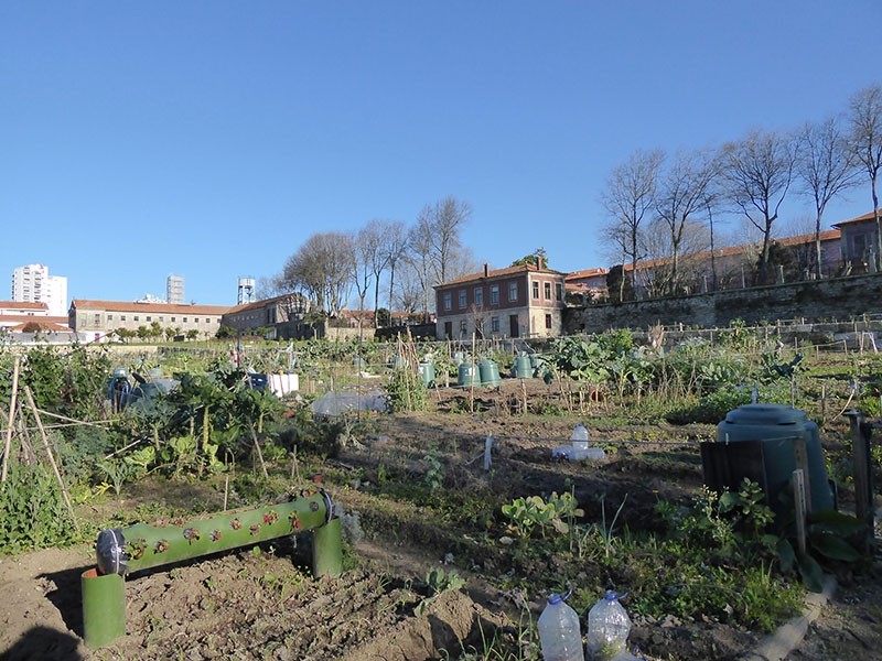 Jardin potager collectif dans l'hôpital Conde Ferreira – Porto.