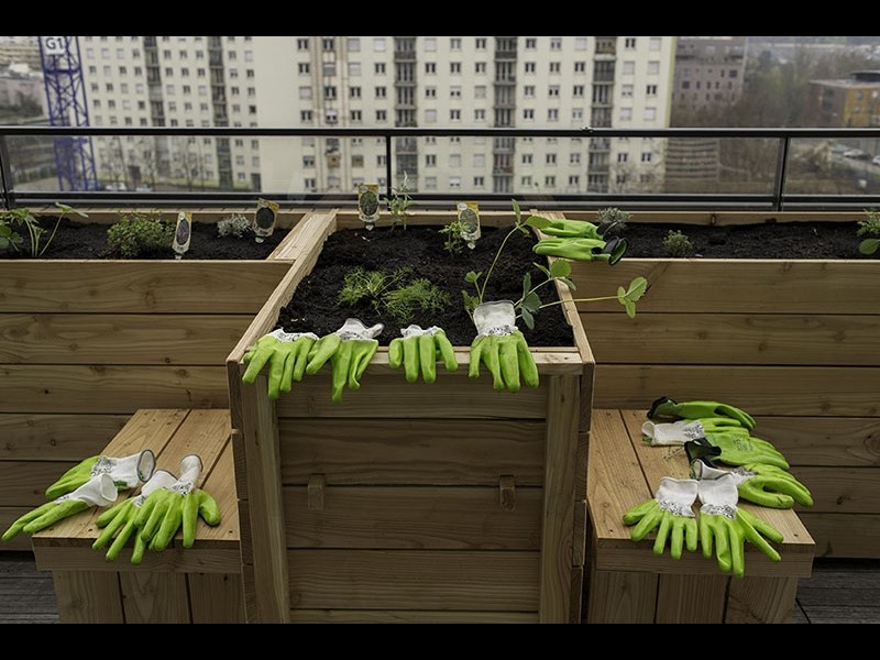 Les premières plantations ©Jean-Pierre Viguié - Ville de Paris