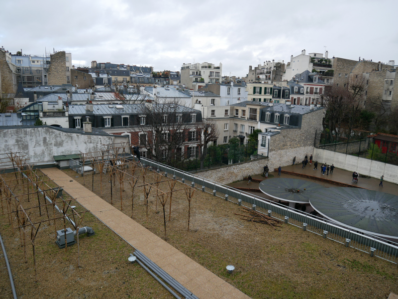 Hugo et Romain d'Agripolis commencent l'installation de leur projet sur le toit du collège Delacroix (16e). © Sarah Langinieux-Cityside