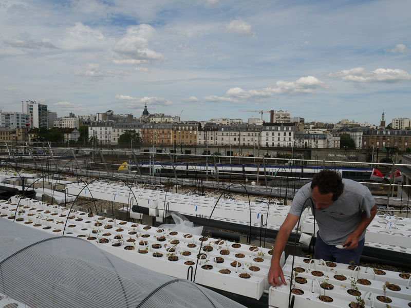 L'équipe d'Aéromate attend le printemps pour remonter ses 