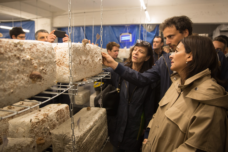 Pénélope Komitès, Théo Champagnat de Cycloponics et Anne Hidalgo à La Caverne. © Mairie de Paris