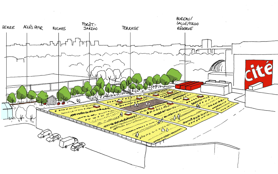 © Le projet de l'équipe Amaury Dubois Paysage - Calbantine - Marmite Urbaine sur le site de la Cité des sciences et de l'industrie 19e. Partenaire : Universcience.