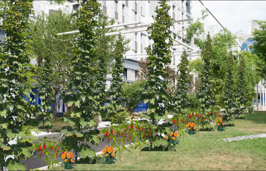 Projet Cityhops - Square Samuel Beckett