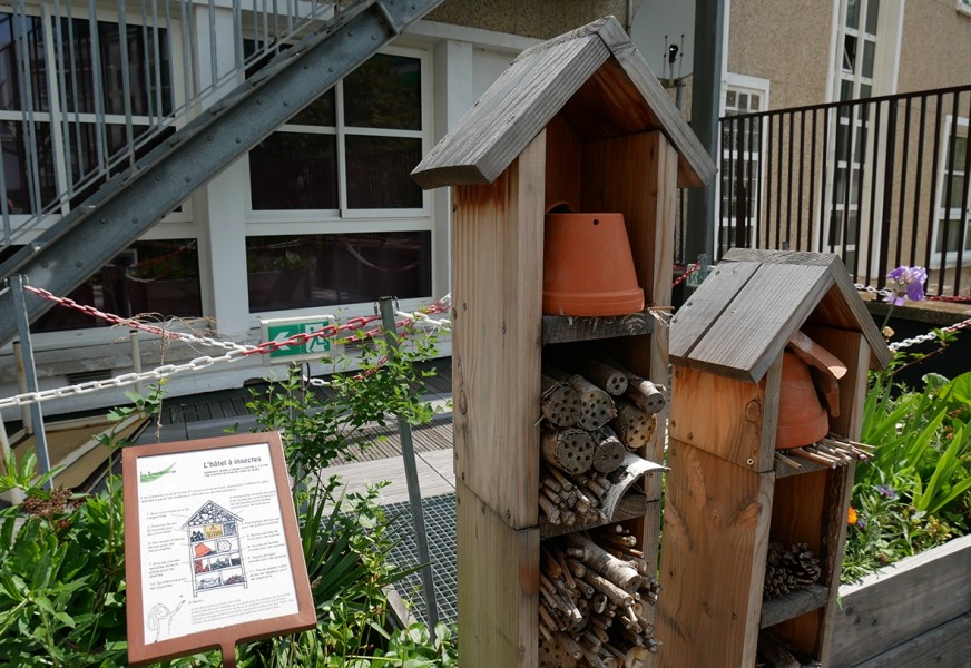 Sur le toit de l'école de Bercy, Projet La Traversine, 12e © Sarah Langinieux-Cityside-Ville de Paris