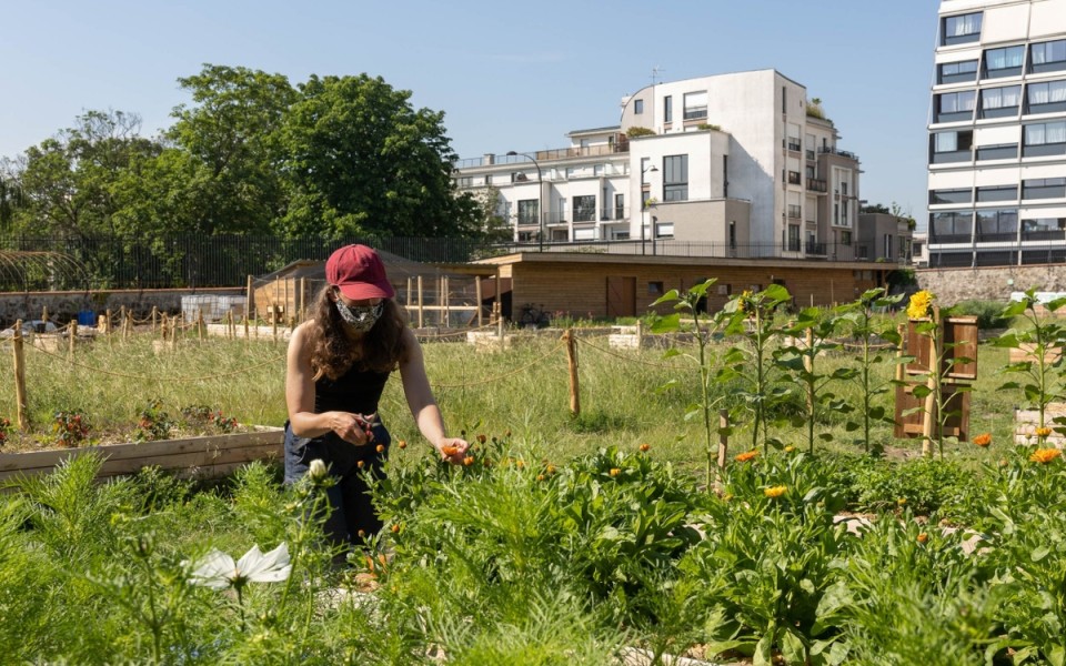 Ferme de Charonne - crédits : Ville de Paris