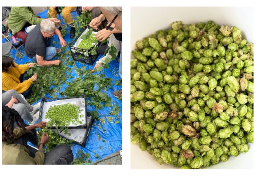 Crédits: La Brasserie des Regards