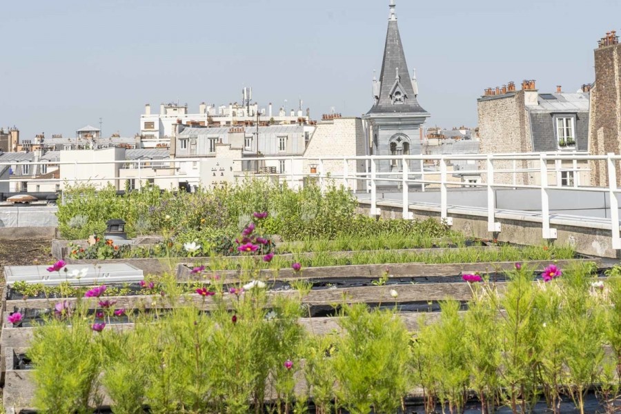 DEVE-Pilâtre de Rozier