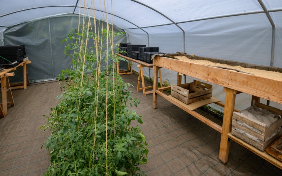 DEVE-Pépinière de l'Est