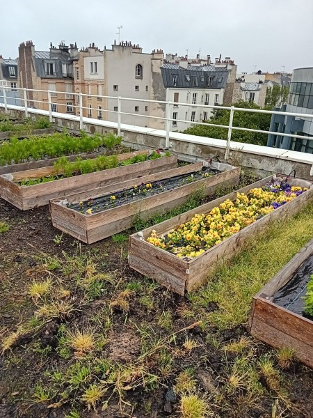 DEVE-Pilâtre de Rozier