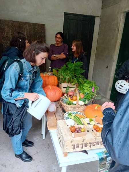 DEVE-Pépinière de l'Est