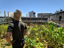 L'agriculture urbaine, pourquoi ? | En quelques mots... | Parisculteurs / Appel à Projets