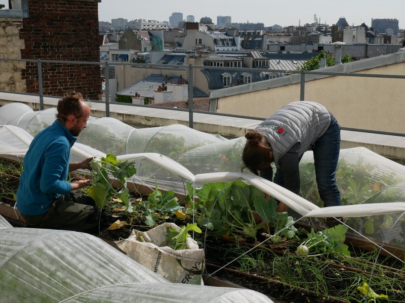 Hopéra Batavia© Sarah Langinieux-Cityside - Ville de Paris