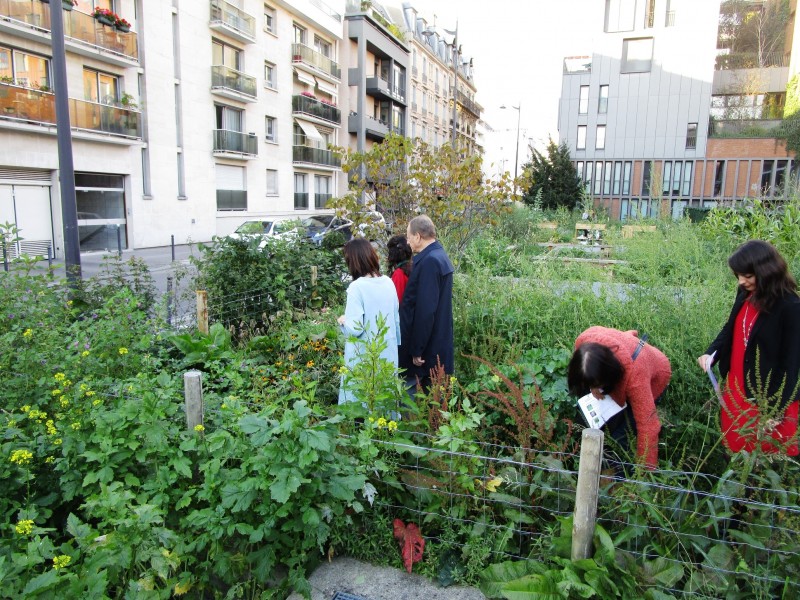 Projet lauréat : La campagne