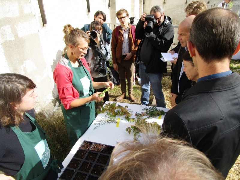 Projet lauréat : La pépinière des lucioles. Source : Mairie de Paris