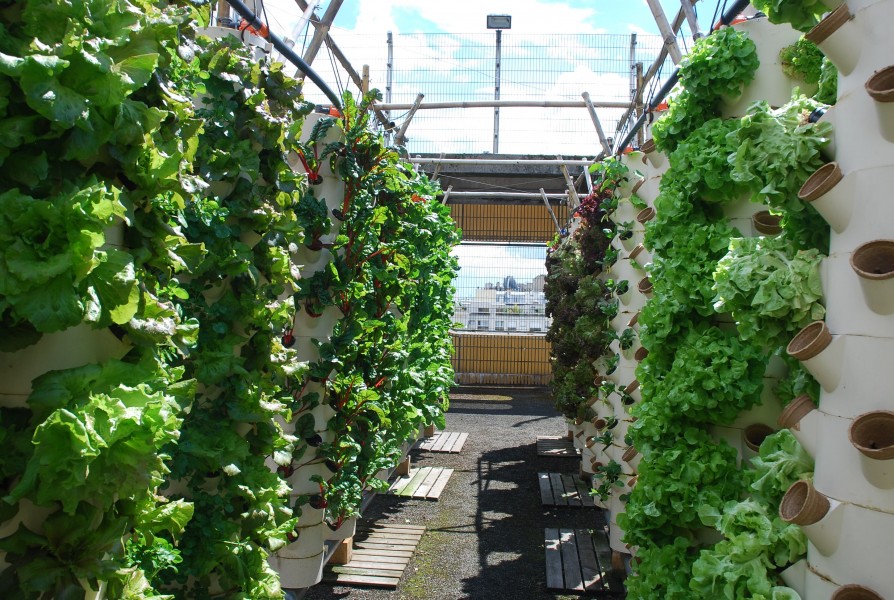 Projet Agripolis. Crédit Claire Sainton, Ville de Paris