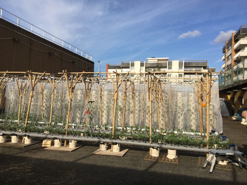 Gymnase de la cour des Lions. Projet en installation - 23/04/2018. Source : Groupement GreenTeam Frédéric Chouzenoux©