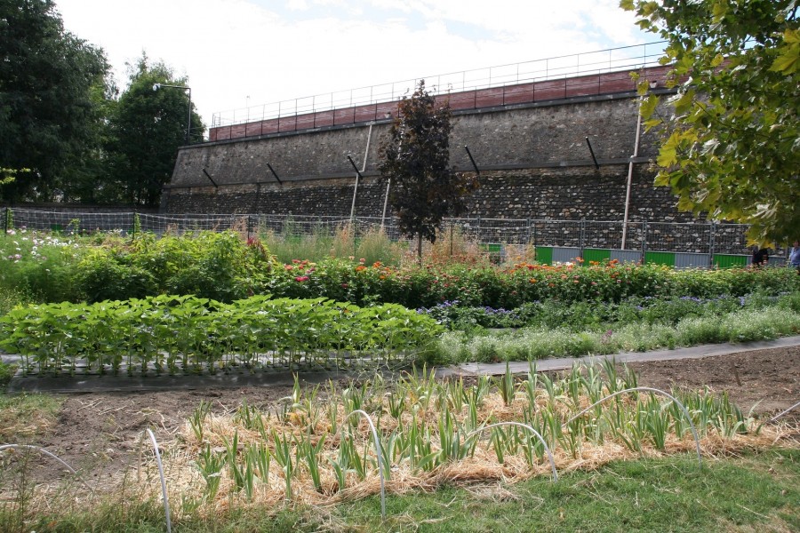 Projet lauréat : flore urbaine