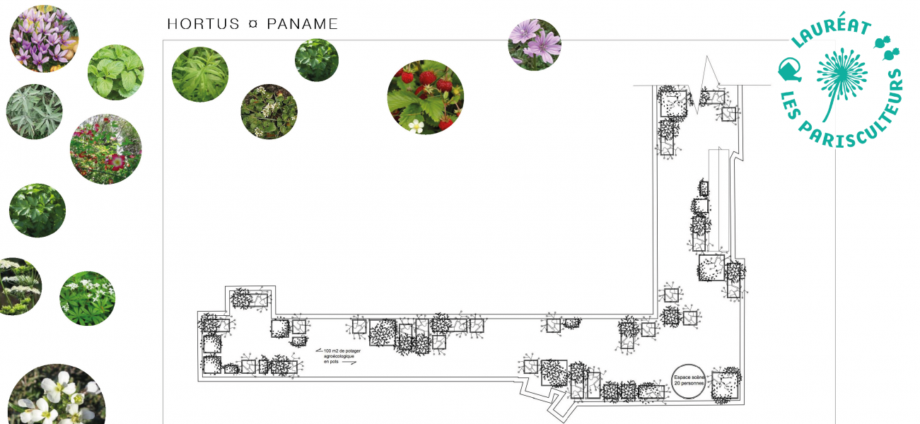 Projet lauréat : Hortus paname