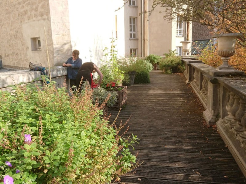 Projet lauréat : Hortus paname