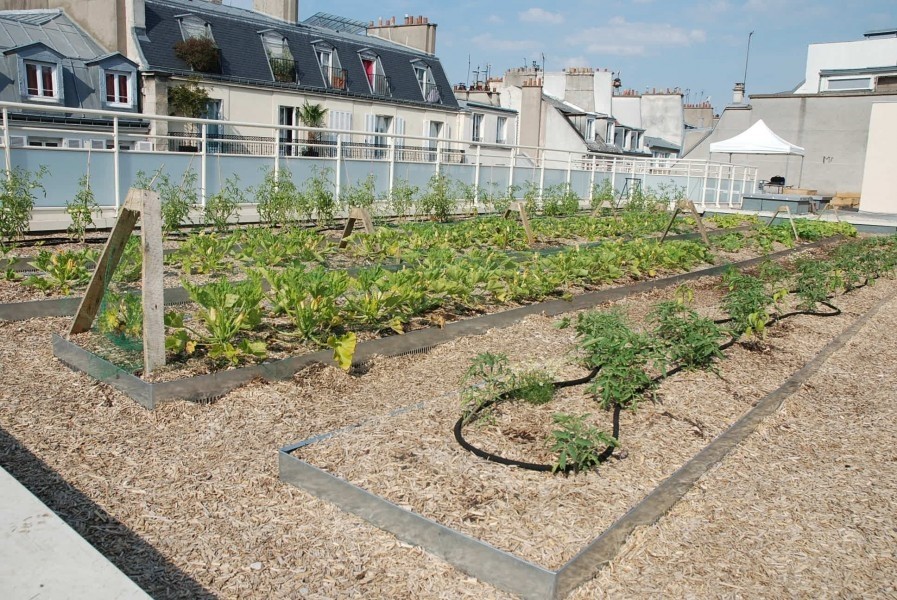 Terrasse Jean Dame. Source : Mairie de Paris Jean-Pierre Viguié ©