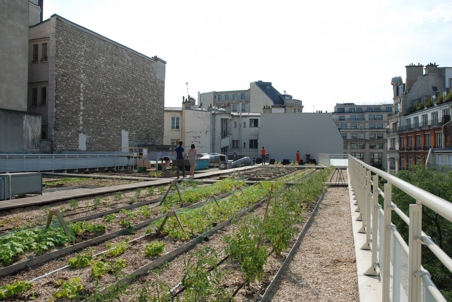 Terrasse Jean Dame. Source : Mairie de Paris Jean-Pierre Viguié ©