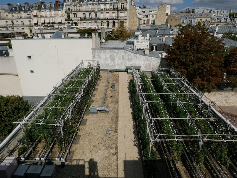 ©Sarah Langinieux-Cityside – Ville de Paris