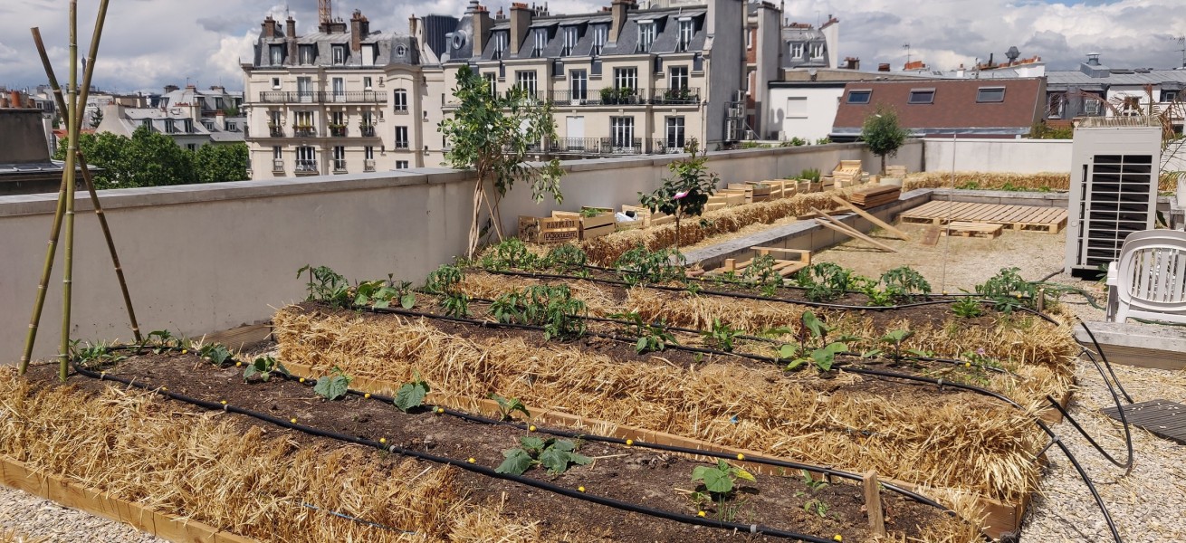 Projet lauréat : Le bureau comestible. Source : Pauline Bourcier®