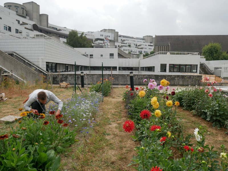 ©Sarah Langinieux-Cityside – Ville de Paris