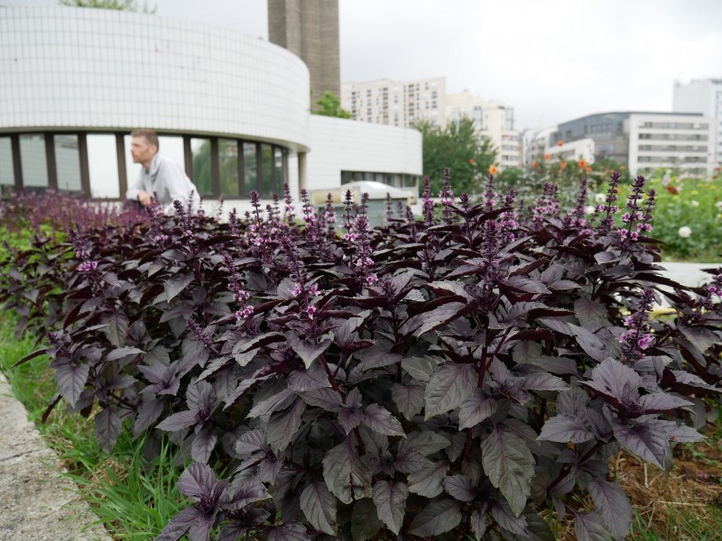 ©Sarah Langinieux-Cityside – Ville de Paris