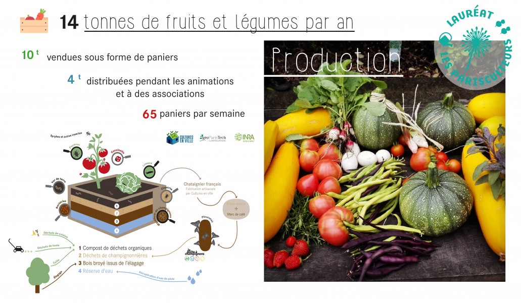 Projet lauréat : A vos pelles, prêts, plantez ! Source : Cultures en Ville®