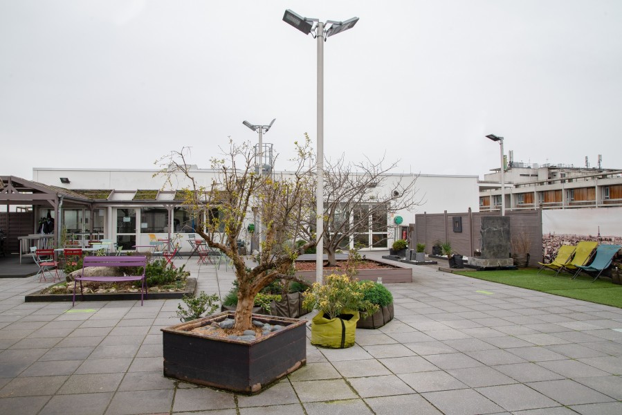 Truffaut d'Ivry-sur-Seine. Source : Mairie de Paris Antoine Polez®