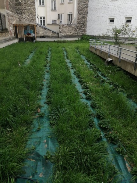 Ecole de la propreté - Vergers Urbains - Crédits DEVE