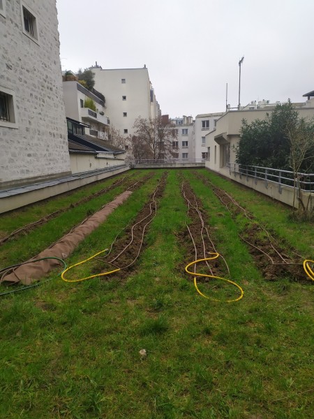 Ecole de la propreté - Vergers Urbains - Crédits DEVE