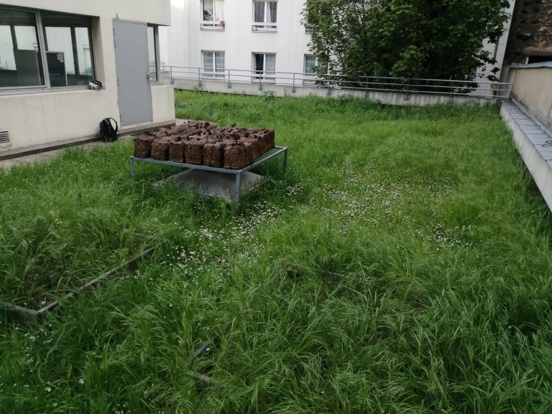 Ecole de la propreté - Vergers Urbains - Crédits DEVE