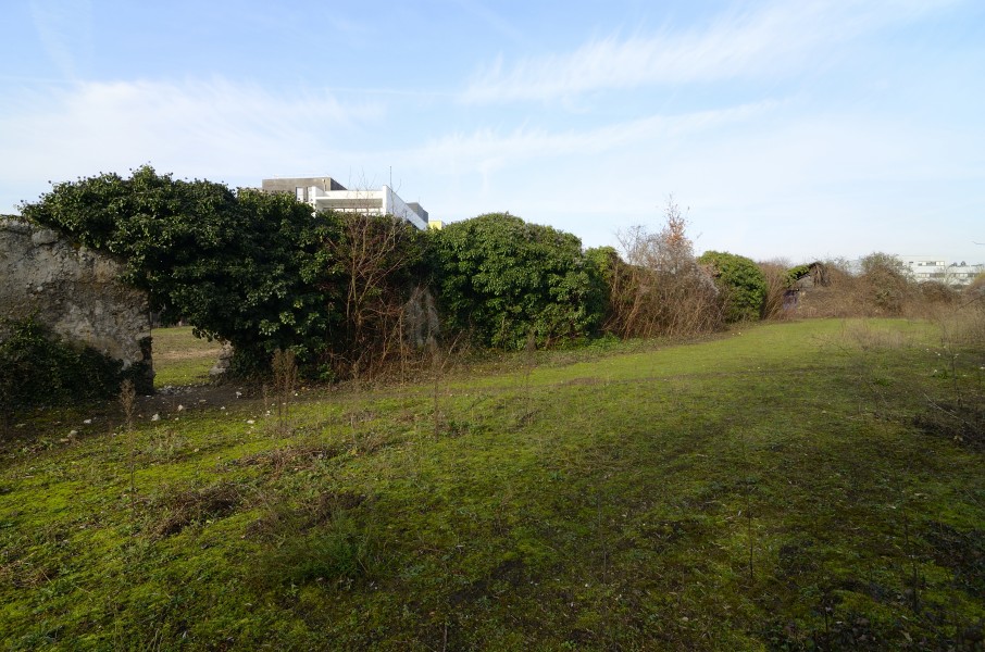 Murs à Pêches de Montreuil. Source : Mairie de Paris Antoine Polez®