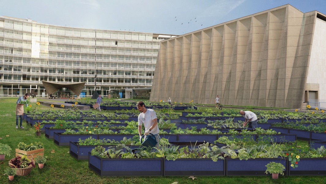 Le Potager de Fontenoy. Crédits @Noocity/ Cultures d'entreprises