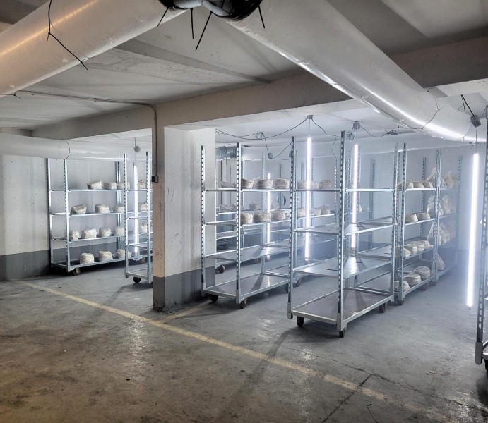 Parking Maroc - Wesh Grow - Crédits : DEVE