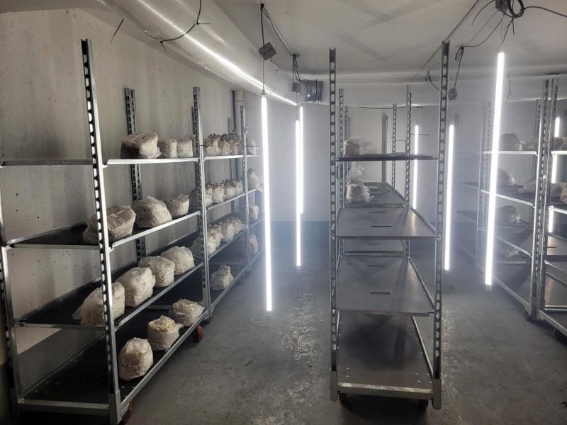 Parking Maroc - Wesh Grow - Crédits : DEVE