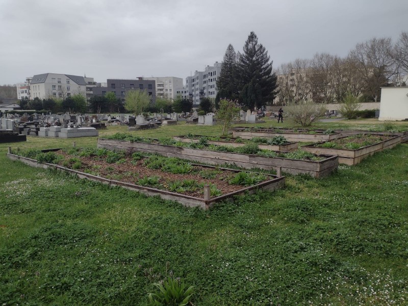 Cimetière de St denis Permapolis 2