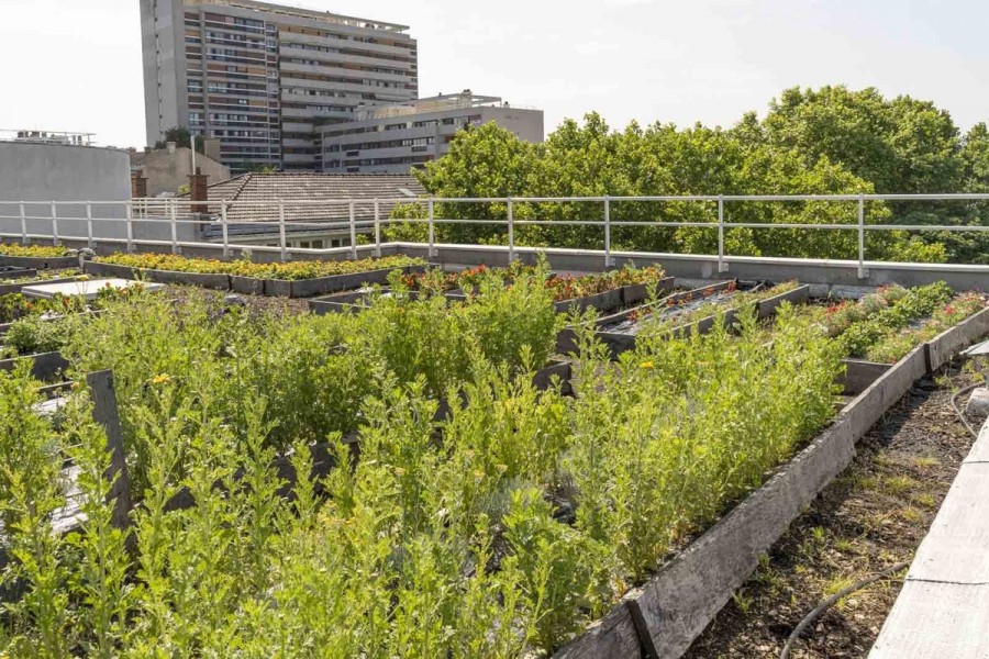 Pilâtre de Rozier - Hydropousse - Crédits : Alex Hospital