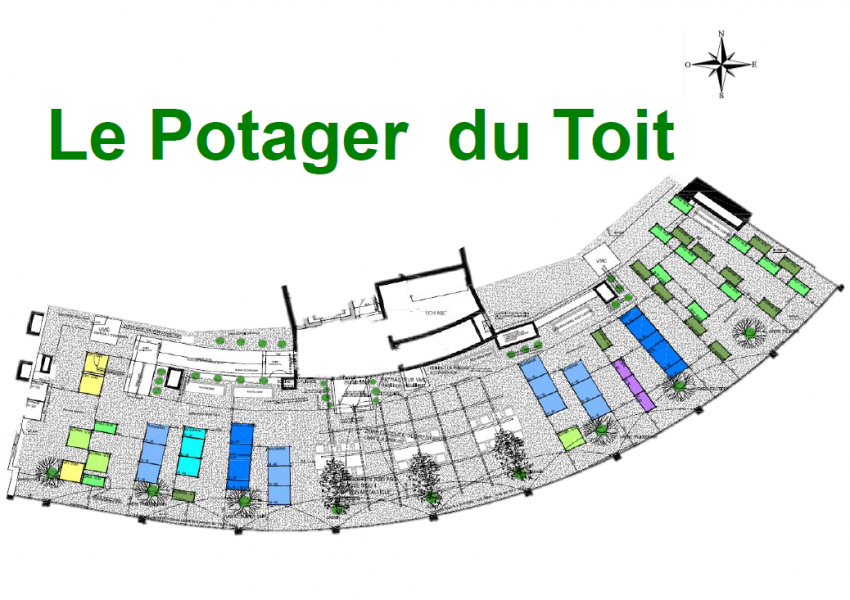 Le potager du toit - Crédits: Cambrousse Atelier