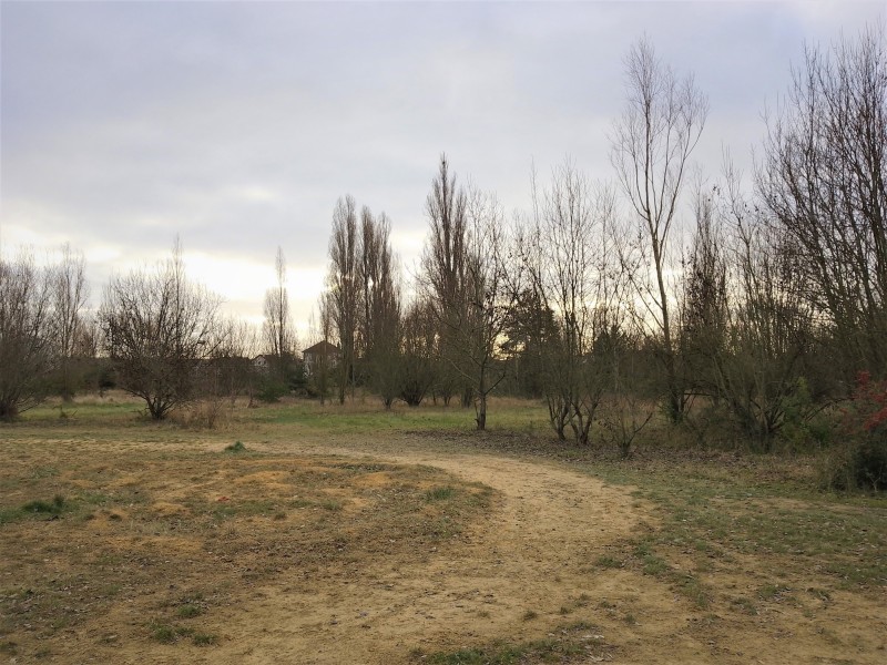 PARC PAYSAGER DE LA FRICHE KODAK crédits Ville de Sevran 2022