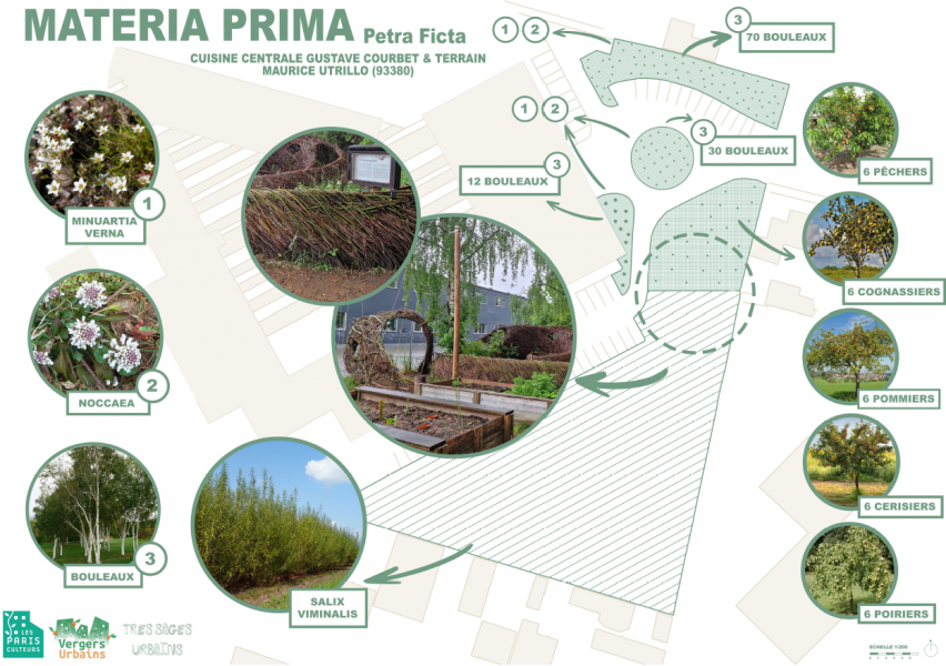 Materia Prima - Crédits: Vergers Urbains & Très Sages Urbains