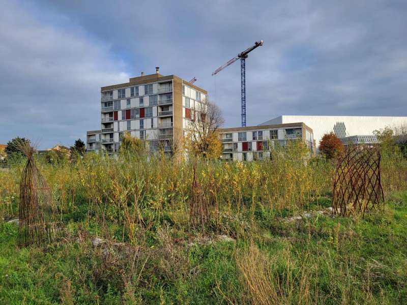 Collège Courbet - Crédits : DEVE