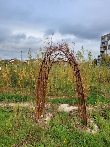 Collège Courbet - Crédits : DEVE