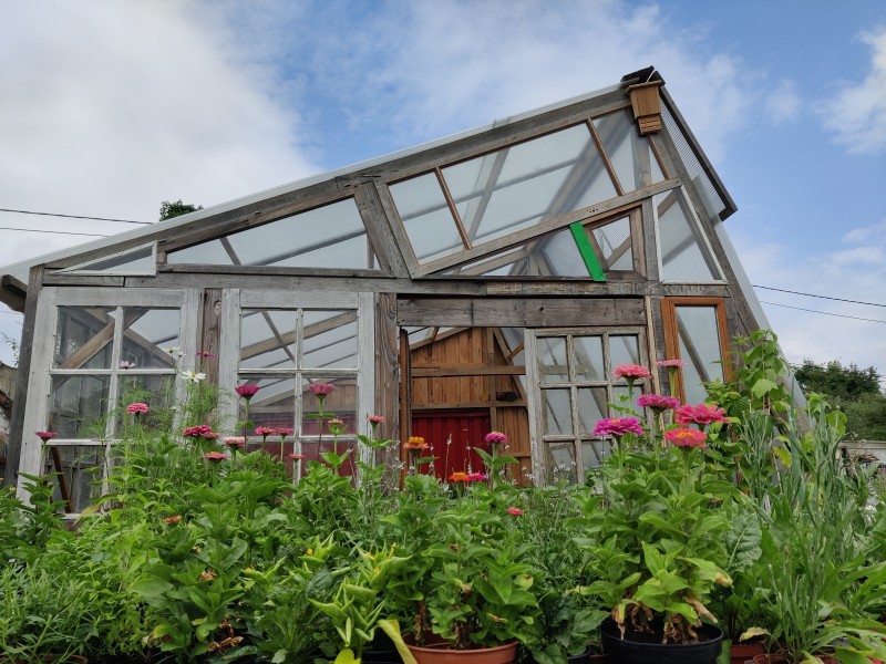 crédits : Les Plantules