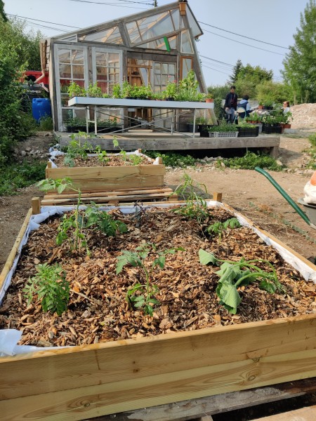 crédits : Les Plantules