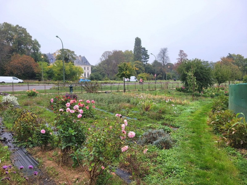 Moulin de Longchamp - Crédits : DEVE